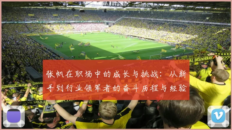 张帆在职场中的成长与挑战：从新手到行业领军者的奋斗历程与经验分享